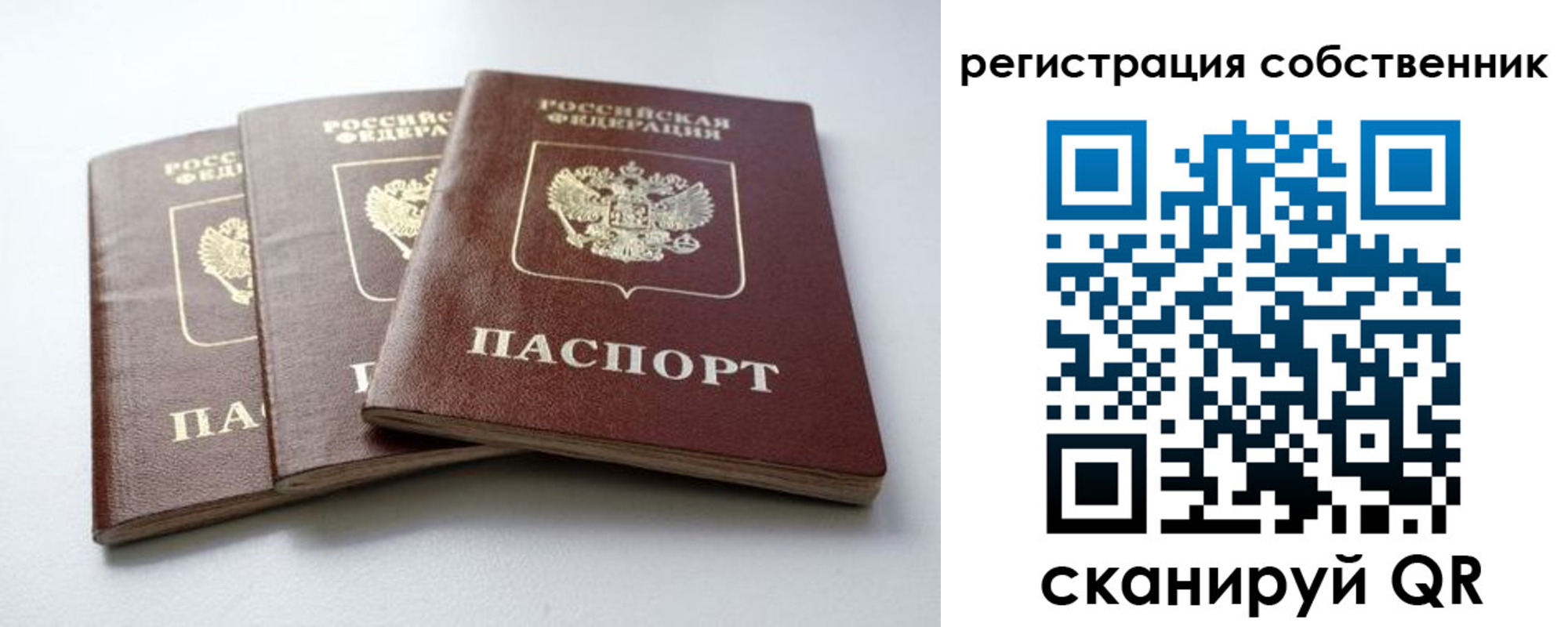 прописка для школы в Прохладном